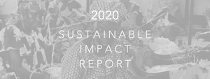 Our Impact Report is here!!!